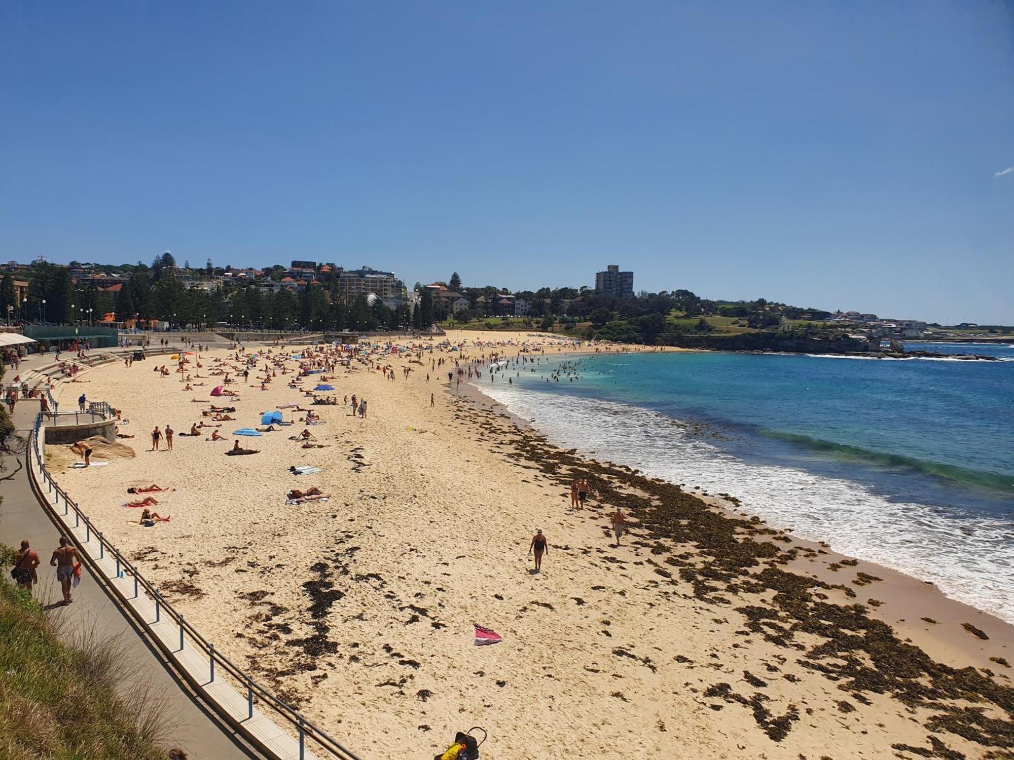 Podbed Coogee Beachside Cité de Cité de Sydney Extérieur photo